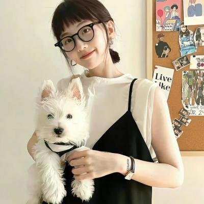 尽善尽美海报