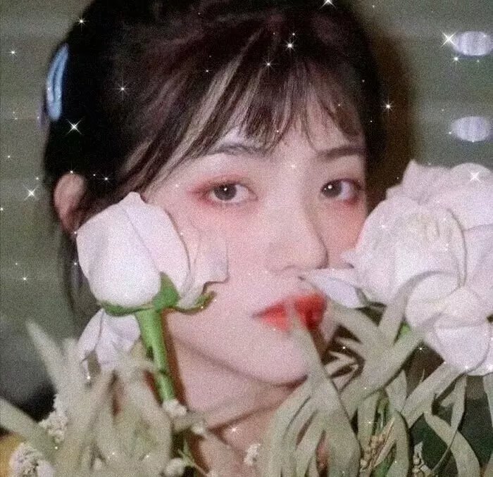 嘉年华大盗海报